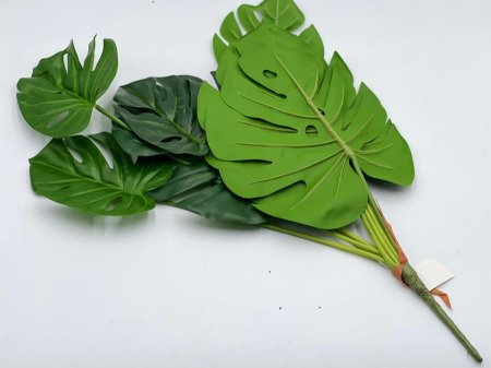 عروق خضار كبيره